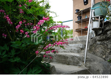 仏教 甕 屋根 64522890