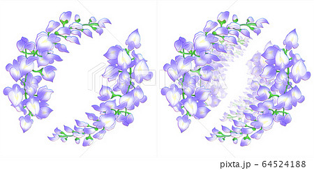 藤の花 枝なし のイラスト素材