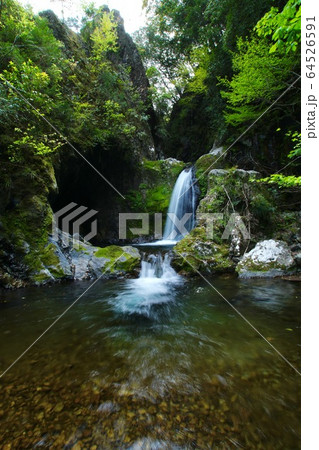 崩ノ川滝 和歌山県東牟婁郡古座川町 崩ノ川滝 和歌山県東牟婁郡古座川町 64526591