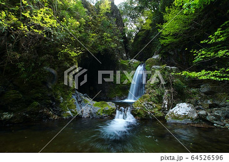 崩ノ川滝　和歌山県東牟婁郡古座川町 64526596