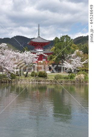 春の大沢池　心経宝塔 64526649