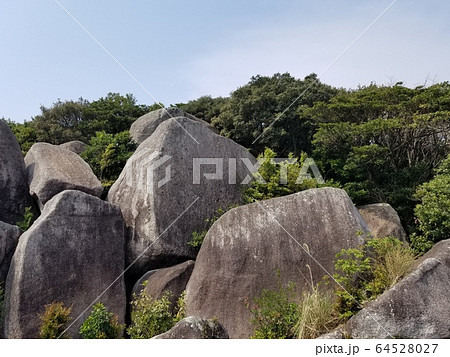 土佐清水市足摺岬_唐人の駄場 64528027