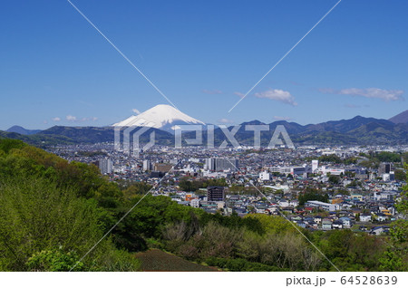 秦野の風景　街並みと周囲の山並み 64528639