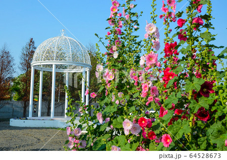 彰化 台湾 きれい 64528673