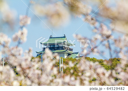 愛知県 小牧市 小牧山城と桜 愛知県 小牧市 小牧山城と桜 64529482