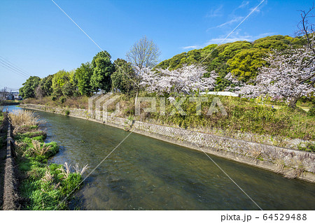 愛知県 小牧市 小牧山 合瀬川 愛知県 小牧市 小牧山 合瀬川 64529488