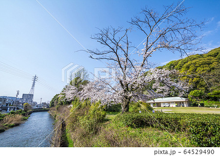 愛知県 小牧市 小牧山 合瀬川 愛知県 小牧市 小牧山 合瀬川 64529490