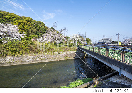 愛知県 小牧市 小牧山 合瀬川 愛知県 小牧市 小牧山 合瀬川 64529492