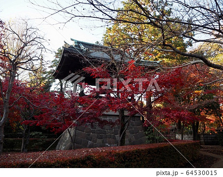 平林寺 平林寺 64530015