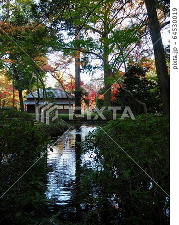 平林寺 平林寺 64530019