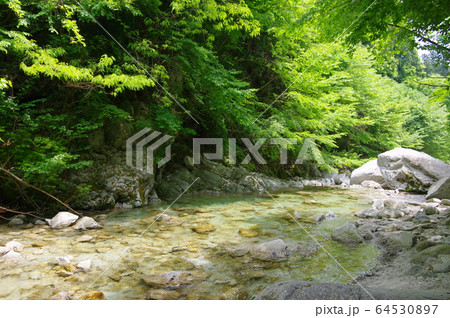 尾白川渓谷（山梨県北杜市） 64530897