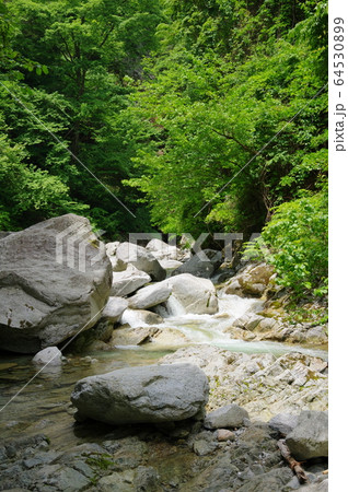 尾白川渓谷(山梨県北杜市) 尾白川渓谷(山梨県北杜市) 64530899
