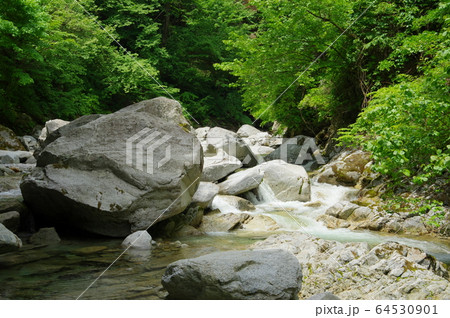 尾白川渓谷（山梨県北杜市） 64530901
