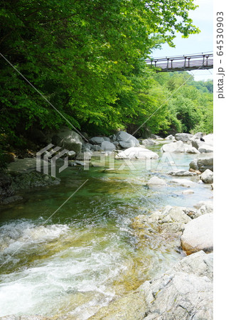 尾白川渓谷(山梨県北杜市) 尾白川渓谷(山梨県北杜市) 64530903