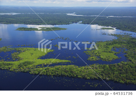 アマゾン川の風景 64531736