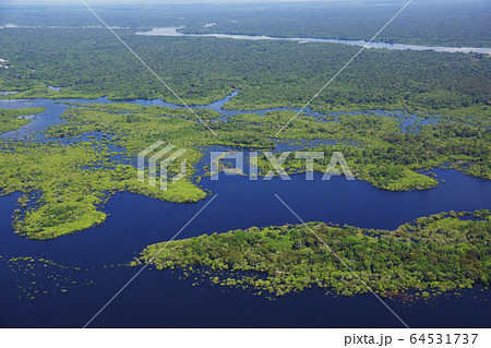 アマゾン川の風景 64531737
