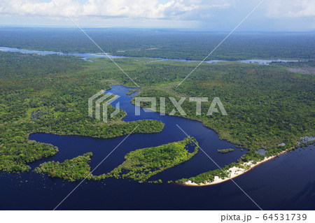 アマゾン川の風景 アマゾン川の風景 64531739