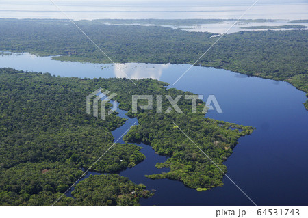 アマゾン川の風景 アマゾン川の風景 64531743