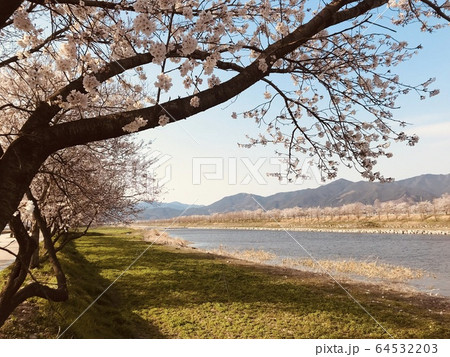 丘 木 旅行 64532203