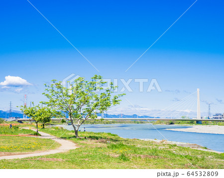 春の多摩川 64532809