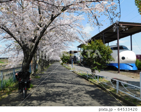 桜が咲く新幹線公園(大阪府摂津市) 64533420