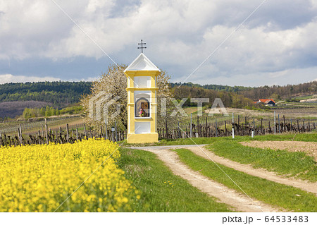 Gods torture near Retz, Austria 64533483