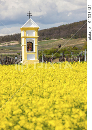 Gods torture near Retz, Austria 64533484