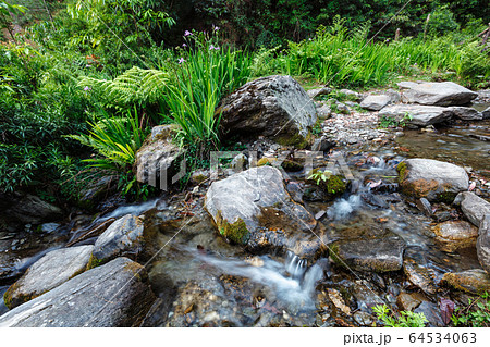 Waterfall. Jibi, Himachal Pradesh 64534063