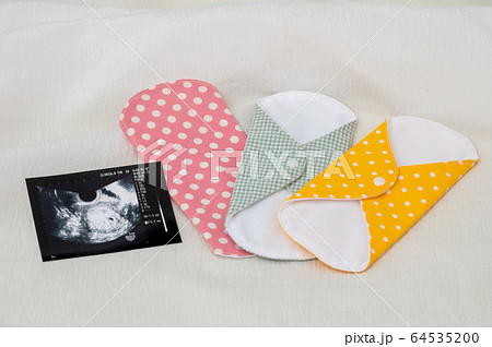 布ナプキン／生理イメージ／妊活／妊娠 64535200