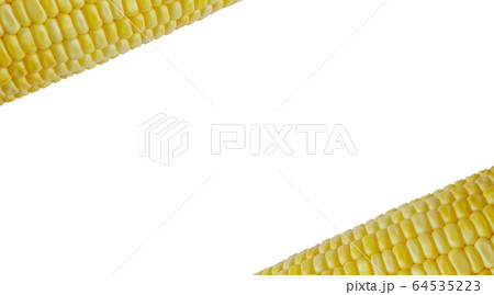 Corn on the white background Corn on the white background 64535223