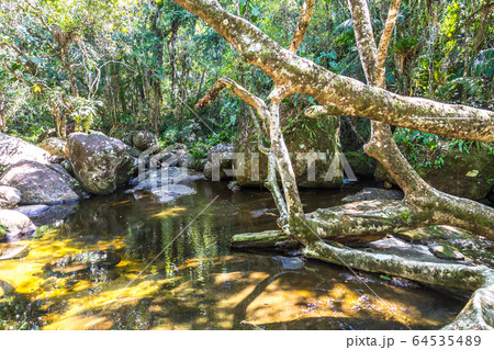 Saco do Mamangua, a tropical fiord in Paraty, Rio 64535489
