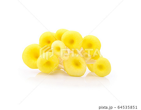 Yellow mushrooms  isolated on white background.Fresh high protein. 64535851