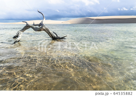 Lencois Maranhenses, National Park, Maranhao, 64535882