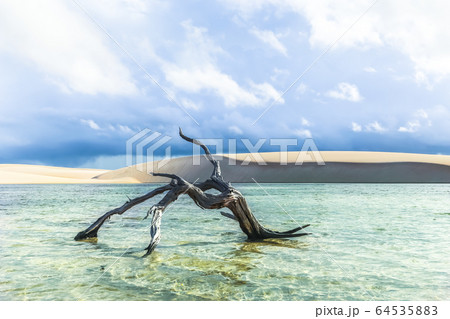 Lencois Maranhenses, National Park, Maranhao, 64535883