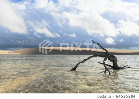 Lencois Maranhenses, National Park, Maranhao, 64535884