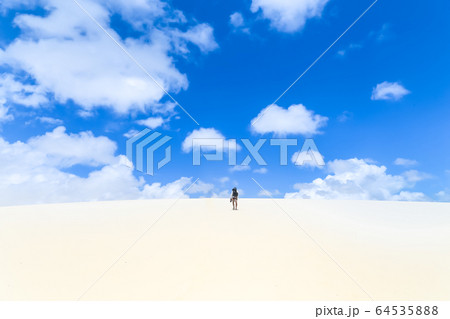 Lencois Maranhenses, National Park, Maranhao, 64535888