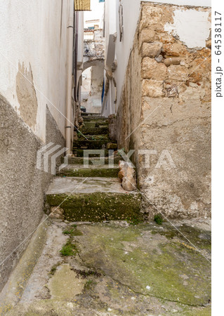 Historical city center Historical city center 64538117