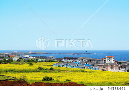 済州島 牛島 自然 64538441