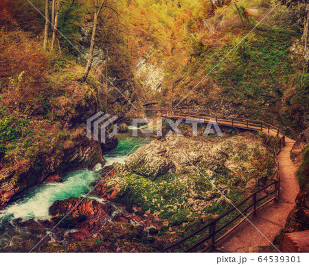 Vintgar gorge, Slovenia 64539301