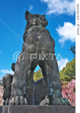 【結城神社の狛犬】 三重県津市藤方 【結城神社の狛犬】 三重県津市藤方 64540399