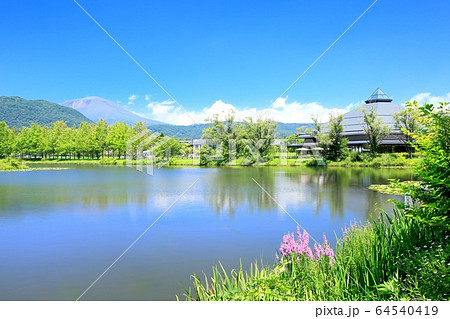 夏の軽井沢・矢ヶ崎公園 夏の軽井沢・矢ヶ崎公園 64540419