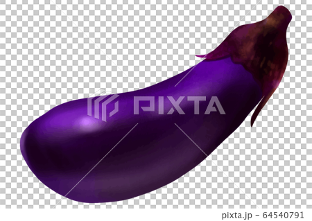 Eggplant Eggplant 64540791