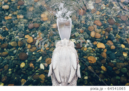 Chinese dragon head water fountain Chinese dragon head water fountain 64541065