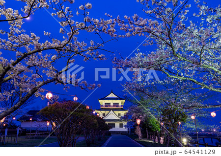 宮城県遠田郡 涌谷町 春の城山公園 満開の桜とライトアップ 宮城県遠田郡 涌谷町 春の城山公園 満開の桜とライトアップ 64541129
