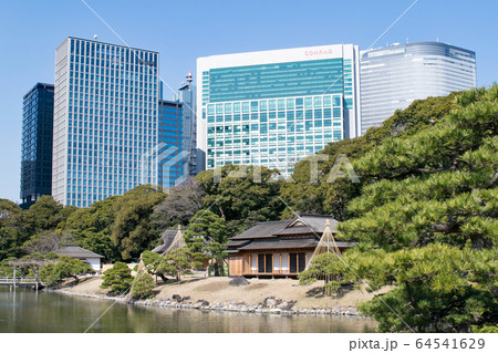 東京都　浜離宮恩賜庭園　大泉水　松の御茶屋 64541629