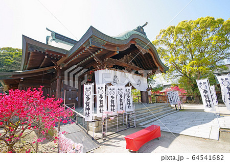 多賀神社 64541682