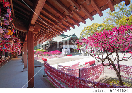 多賀神社 多賀神社 64541686