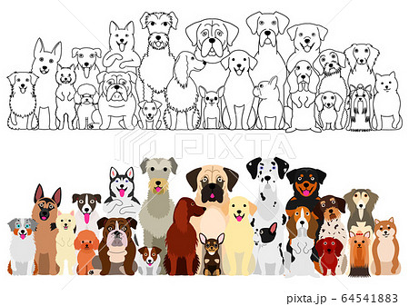 犬たちの大型グループ　線画　カラー 64541883