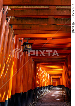 伏見稲荷大社千本鳥居 64542654