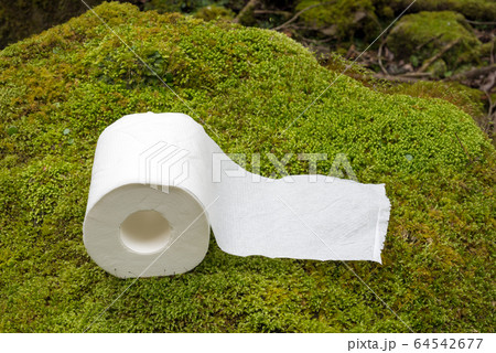緑の苔の上のトイレットペーパー 64542677
